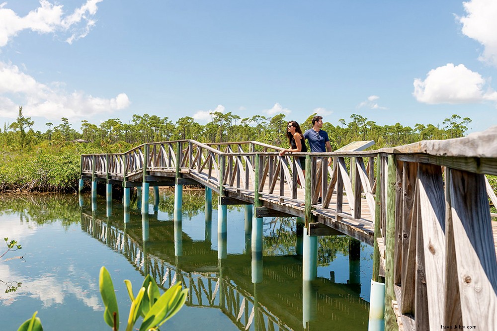 Elegir la pareja perfecta para una escapada a las Bahamas 